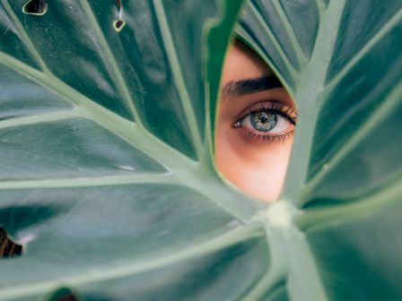 The image shows a close-up of a large green leaf with a hole in the middle, through which one eye of a person is visible.