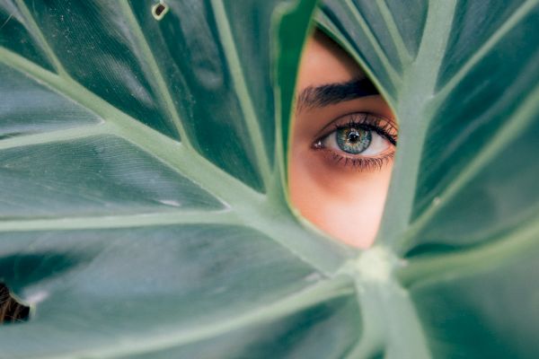 The image shows a close-up of a large green leaf with a hole in the middle, through which one eye of a person is visible.