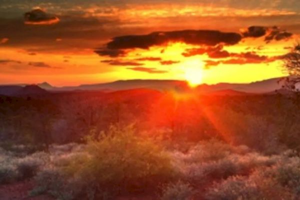 A vibrant sunset over a desert landscape with scattered bushes, mountains in the distance, and a person standing on the right looking at the scenery.