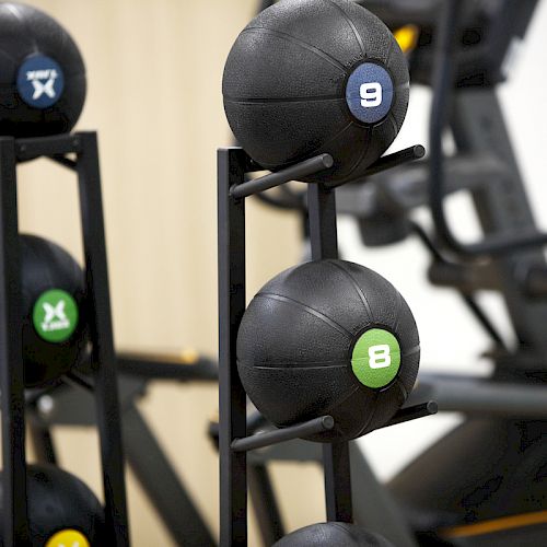 The image shows a set of medicine balls on a rack, each with a different weight label, placed next to gym equipment.