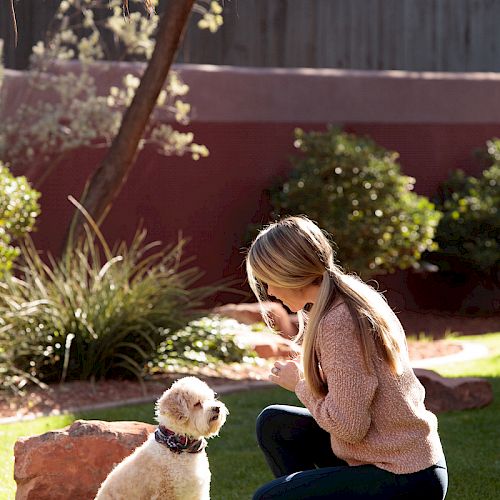 A person kneels on grass looking at a small dog in a backyard. The dog is sitting, and trees and shrubs are visible in the background.