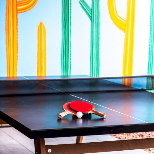 A ping pong table with two paddles and a ball, set against a wall with colorful cactus artwork.