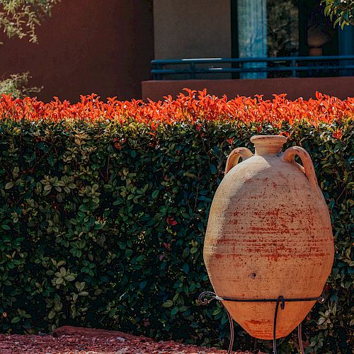 A large, rustic ceramic pot is placed in front of a neatly trimmed hedge, with a building partially visible in the background.