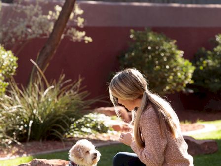 A person is kneeling on grass in a garden, interacting with a small white dog sitting in front of them under a tree.