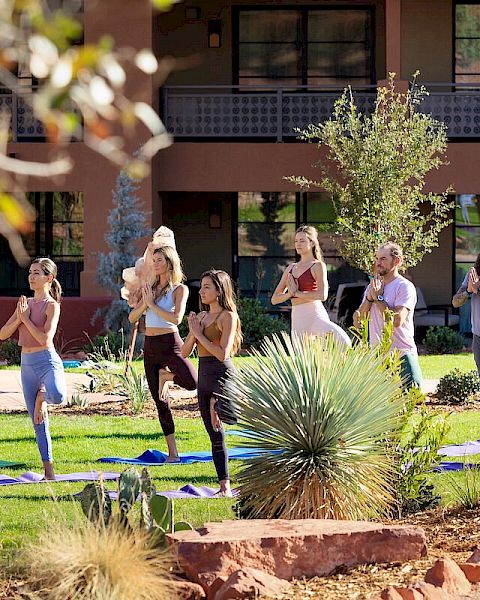 A group of people is practicing yoga outdoors on a sunny day, performing tree poses on yoga mats on a grassy area with a building in the background.