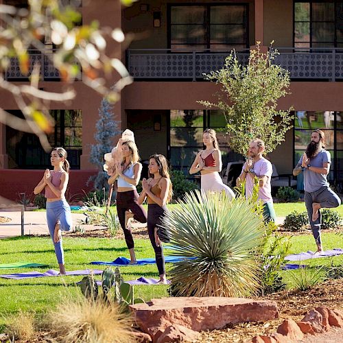 A group of people is practicing yoga outdoors on a sunny day, performing tree poses on yoga mats on a grassy area with a building in the background.