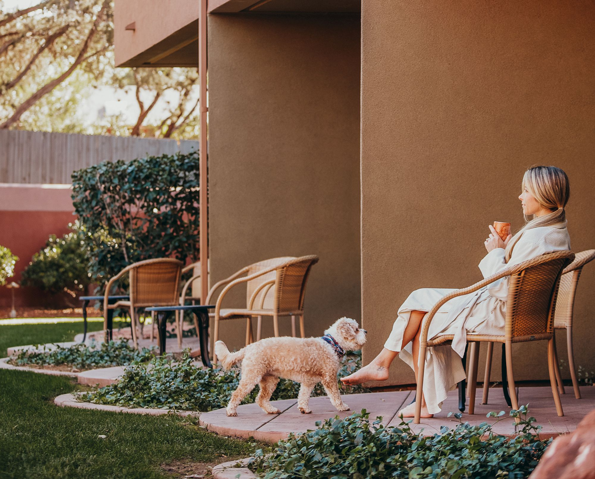 dog in patio