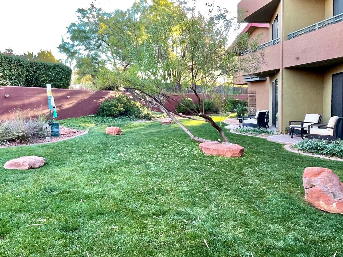 A landscaped backyard with grass, large rocks, trees, and a patio with furniture adjacent to a building with balconies, under clear skies.