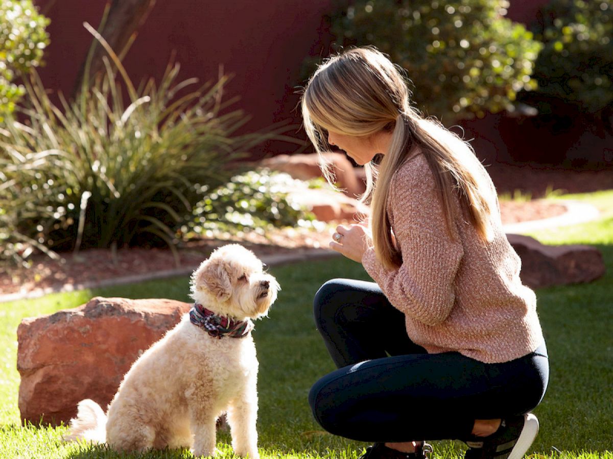 A person crouches on grass, giving a command to a small dog. The background shows a garden with shrubs and rocks, under bright daylight.