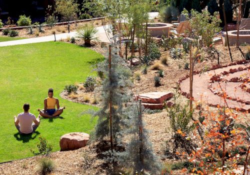 Two people are meditating on a grassy lawn in an outdoor garden surrounded by trees and shrubs. There is a circular pathway and rocks nearby.