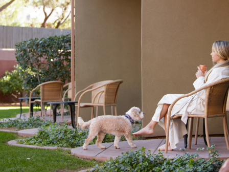 A woman in a robe sits outside on a patio, holding a mug, while a small dog walks nearby. Trees and greenery surround the area.