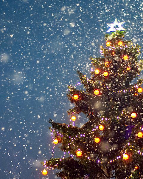 A decorated Christmas tree with lights and a star topper stands under falling snowflakes against a clear blue sky.